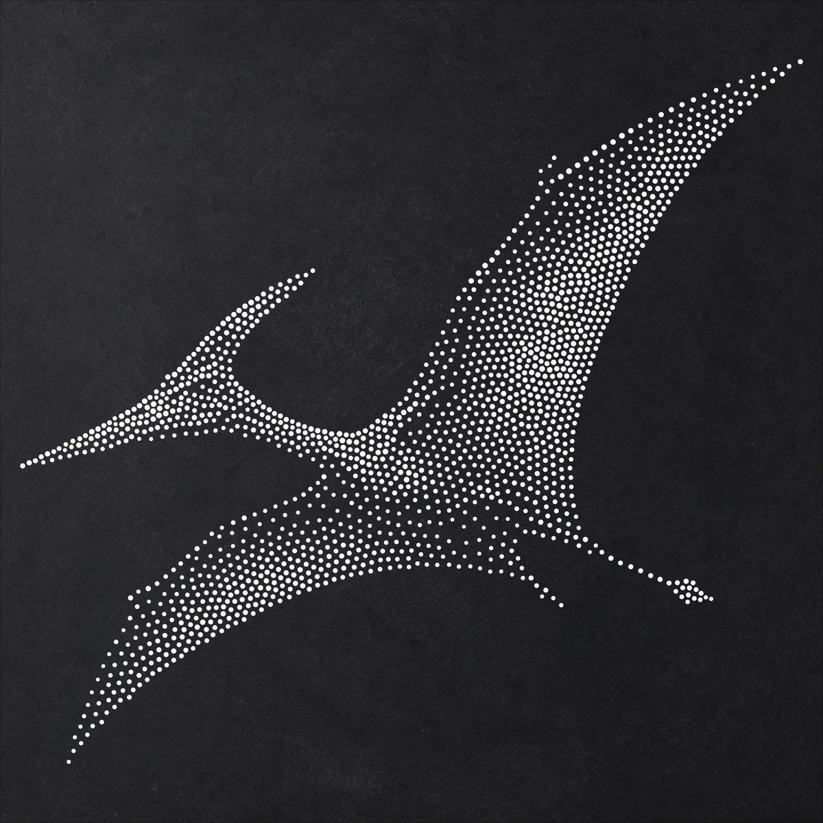 Pteranodon Pterosaur Stencil | Realistic Mylar Stipple Wall Art, Crafts (Large - 300mm / 12" approx)