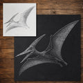 Pterodactyl Pterosaur Stencil reusable Mylar stencil, 300 x 300 mm