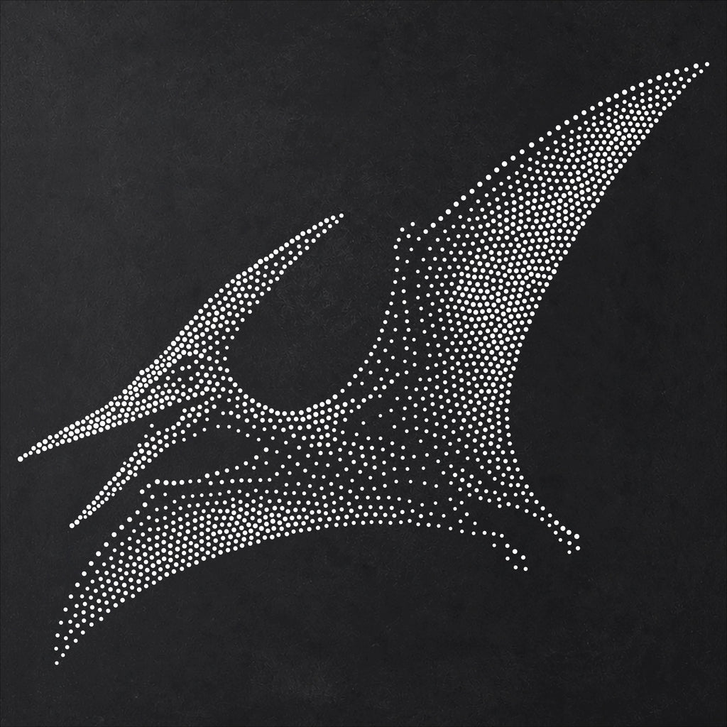 Pterodactyl Pterosaur Stencil | Realistic Mylar Stipple Wall Art, Crafts (Large - 300mm / 12" approx)