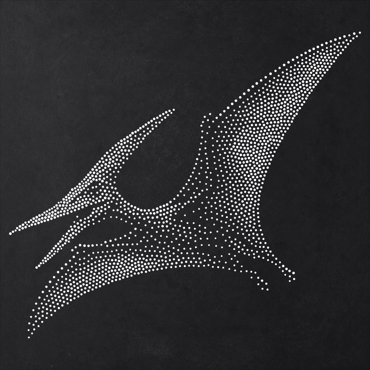 Pterodactyl Pterosaur Stencil | Realistic Mylar Stipple Wall Art, Crafts (Large - 300mm / 12" approx)