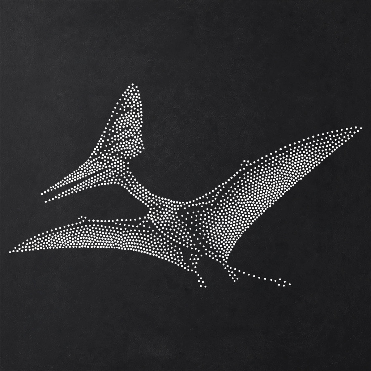 Tapejara Pterosaur Stencil | Realistic Mylar Stipple Wall Art, Crafts (Large - 300mm / 12" approx)