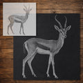 Gazelle Stipple Art Stencil reusable Mylar stencil, 300 x 300 mm