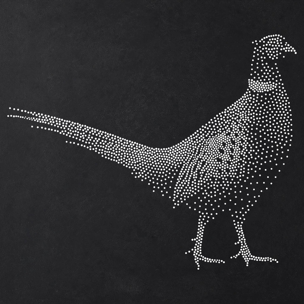 Pheasant Stipple Art Stencil | Realistic Animal Mylar Plastic Craft Stencil (Large - 300mm / 12" approx)