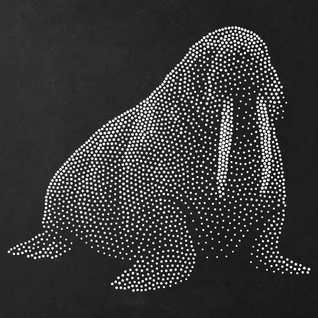 Walrus Stipple Art Stencil | Realistic Animal Mylar Plastic Craft Stencil (Large - 300mm / 12" approx)