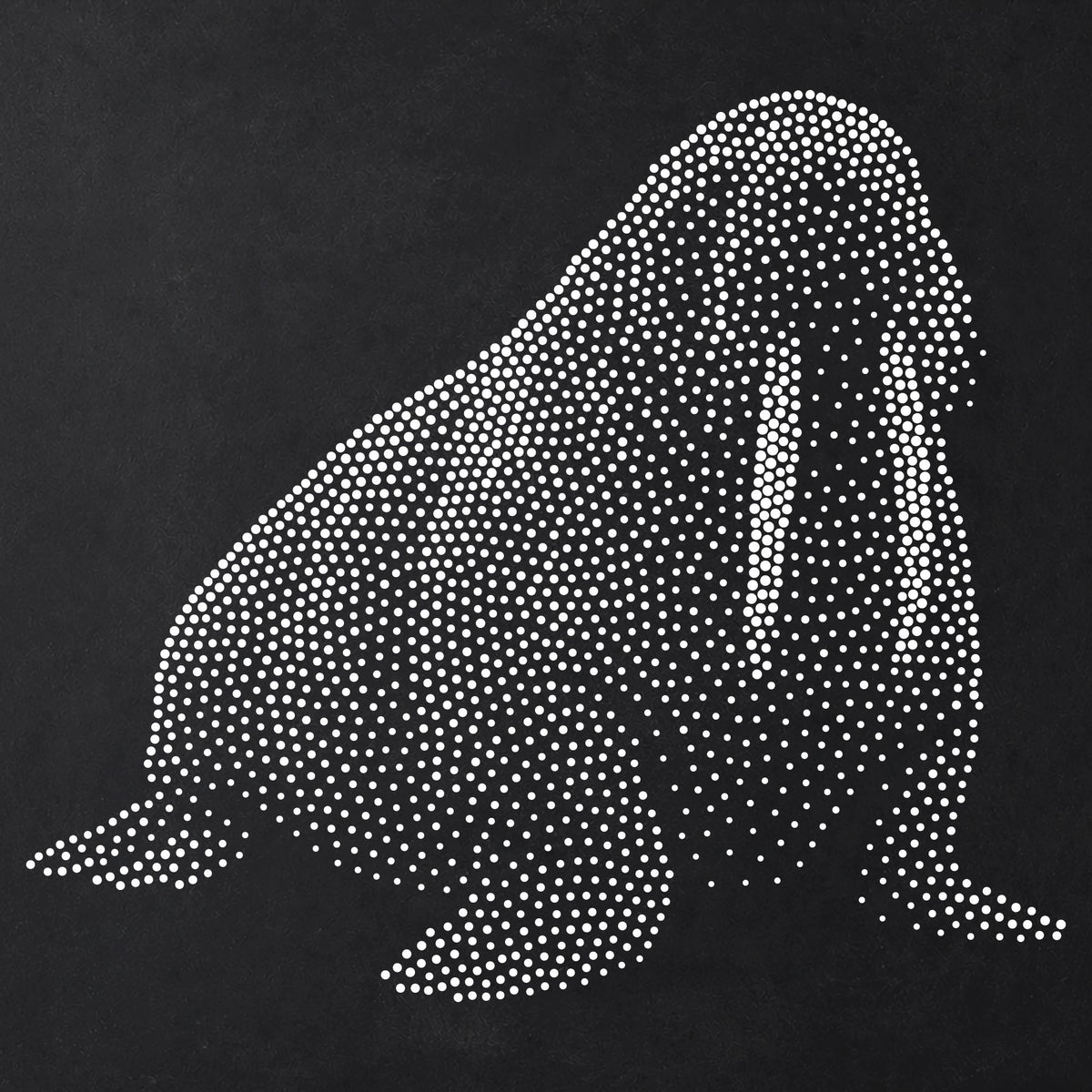 Walrus Stipple Art Stencil | Realistic Animal Mylar Plastic Craft Stencil (Large - 300mm / 12" approx)