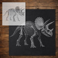 Triceratops Skeleton Dinosaur Stencil reusable Mylar stencil, 300 x 300 mm
