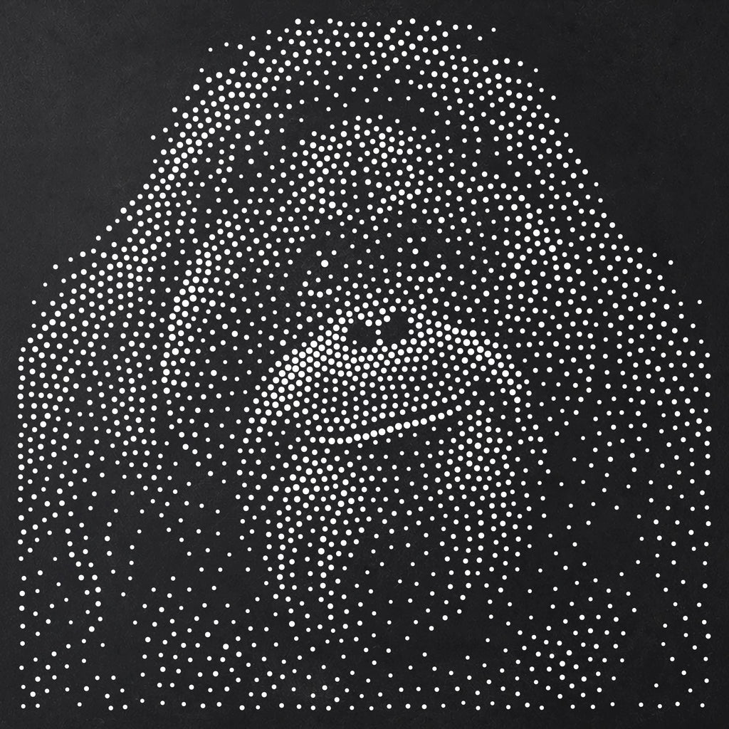 Orangutan Portrait Stipple Art Stencil | Realistic Animal Mylar Plastic Craft Stencil (Large - 300mm / 12" approx)