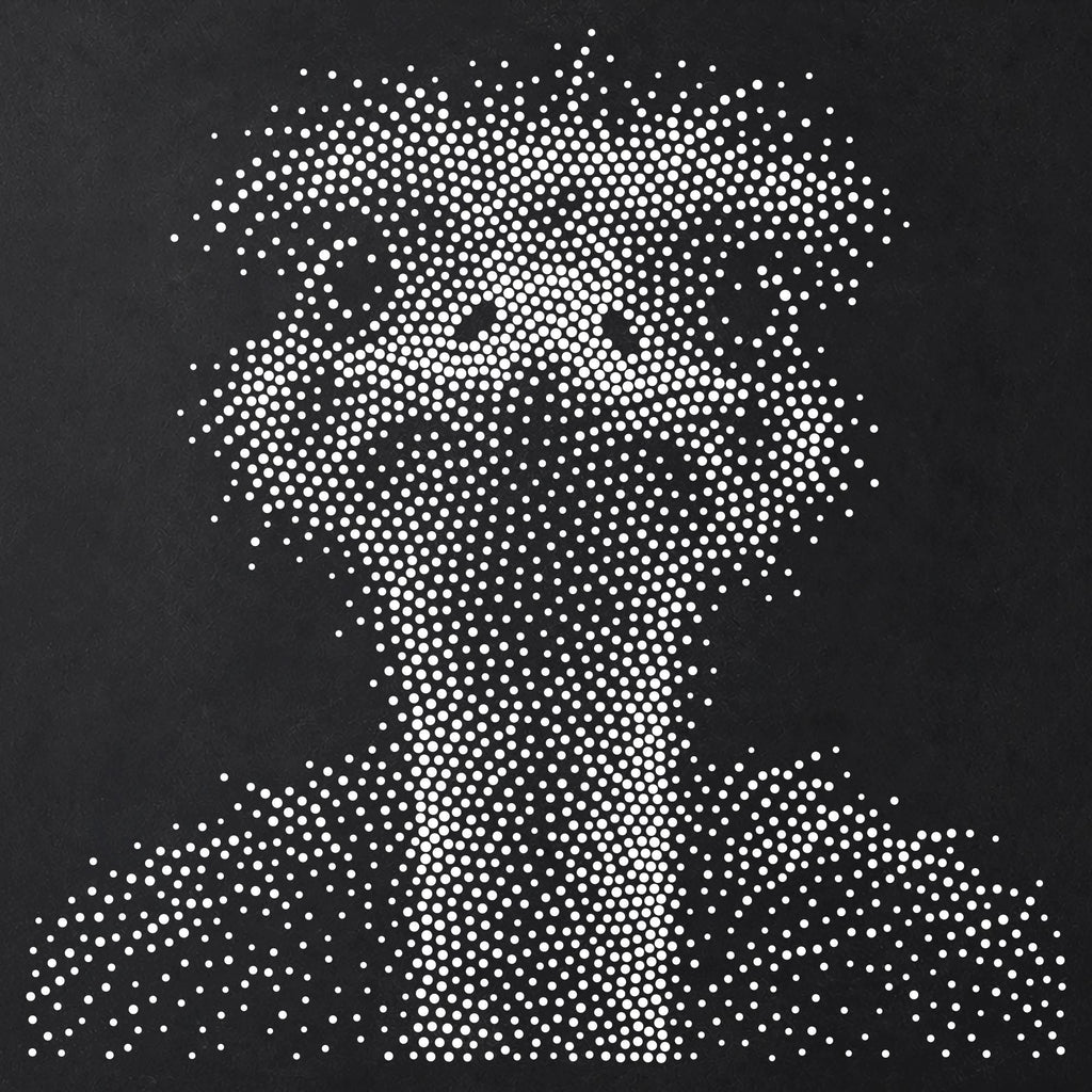 Ostrich Portrait Stipple Art Stencil | Realistic Animal Mylar Plastic Craft Stencil (Large - 300mm / 12" approx)