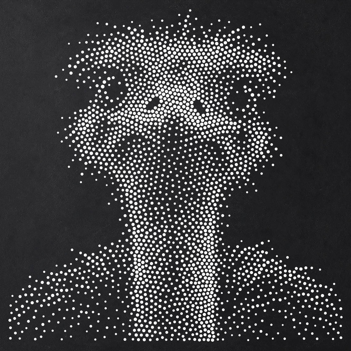 Ostrich Portrait Stipple Art Stencil | Realistic Animal Mylar Plastic Craft Stencil (Large - 300mm / 12" approx)