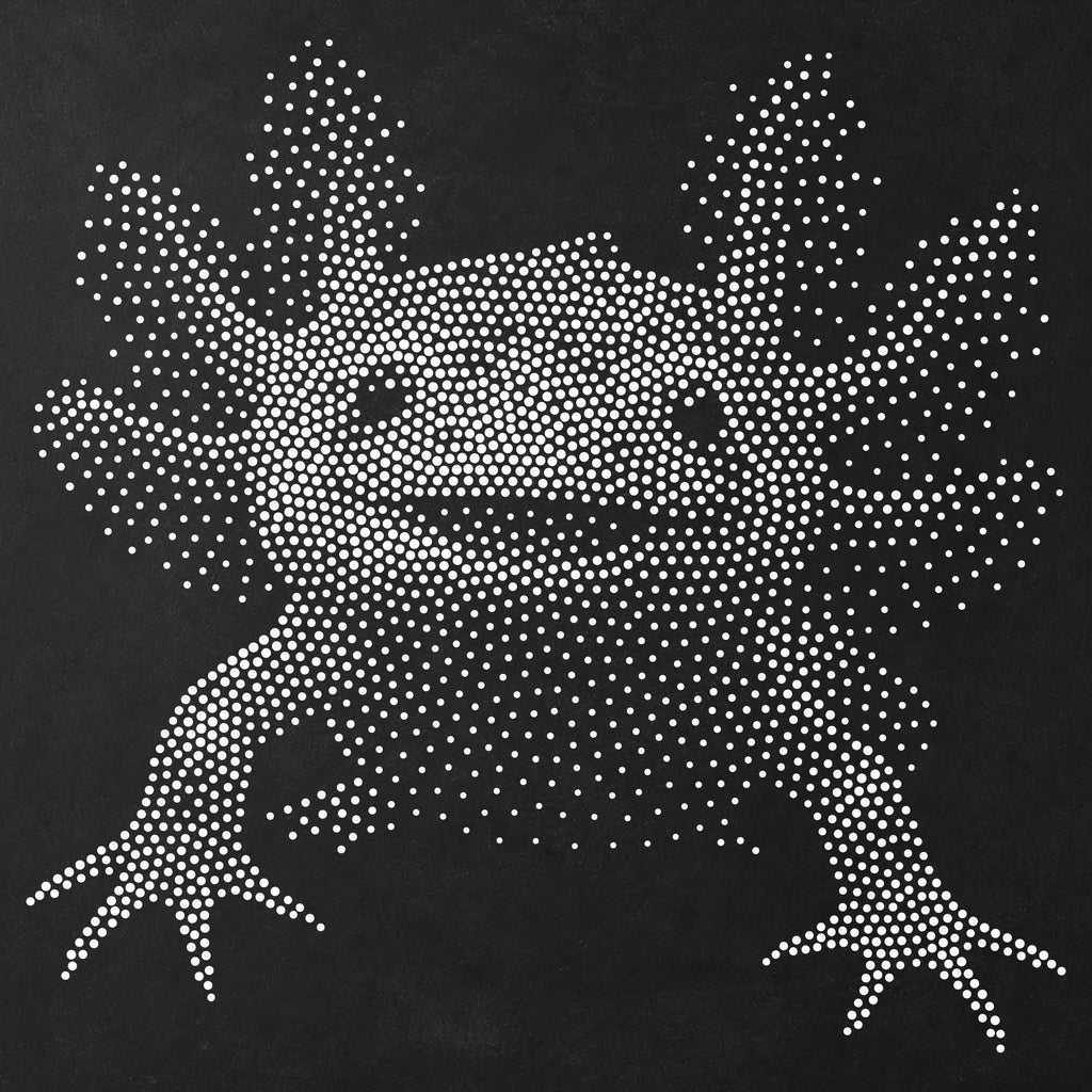Axolotl Portrait Stipple Art Stencil | Realistic Animal Mylar Plastic Craft Stencil (Large - 300mm / 12" approx)