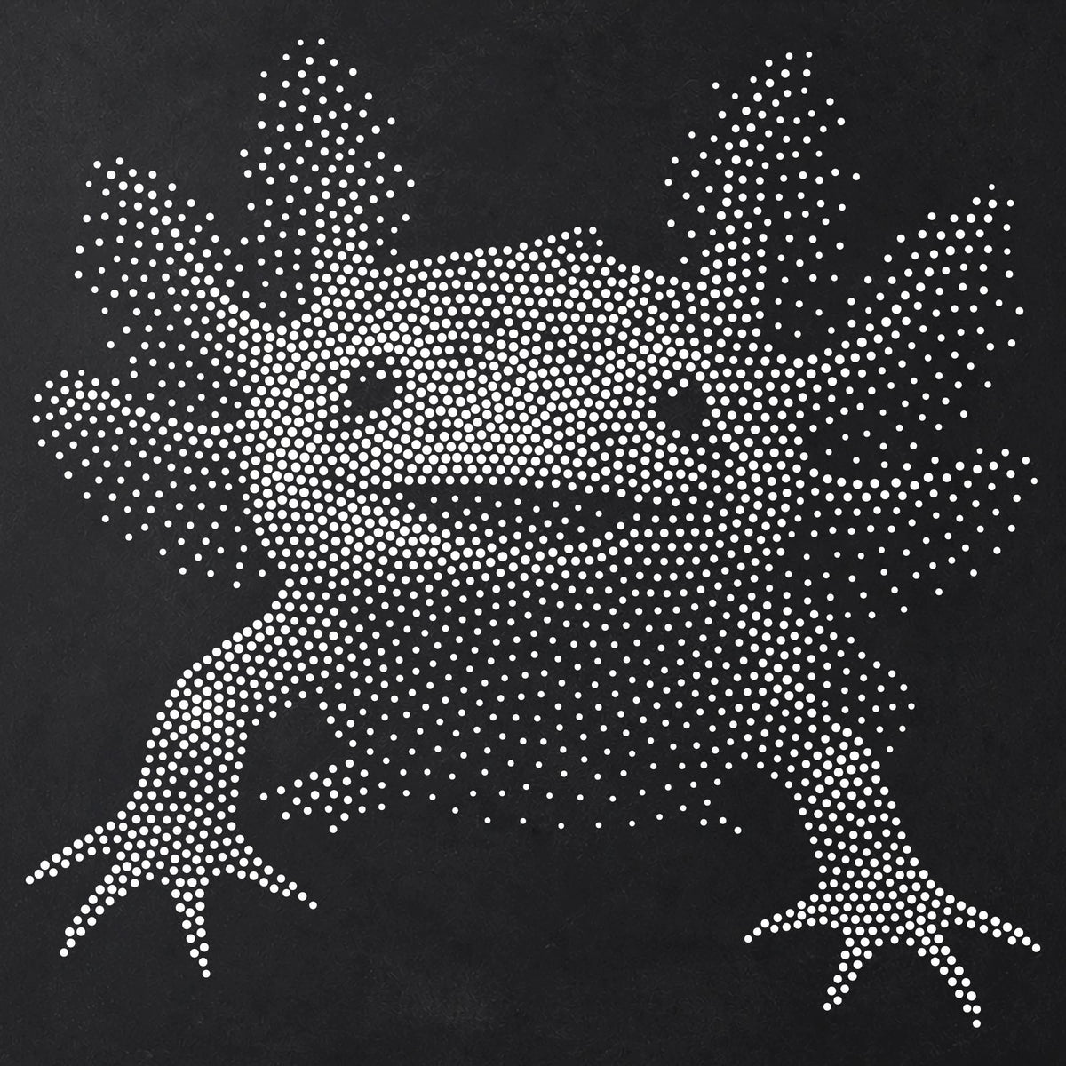 Axolotl Portrait Stipple Art Stencil | Realistic Animal Mylar Plastic Craft Stencil (Large - 300mm / 12" approx)