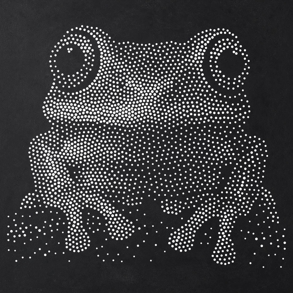 Tree Frog Portrait Stipple Art Stencil | Realistic Animal Mylar Plastic Craft Stencil (Large - 300mm / 12" approx)