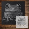 Tree Frog Portrait Stipple Art Stencil reusable Mylar stencil, 300 x 300 mm