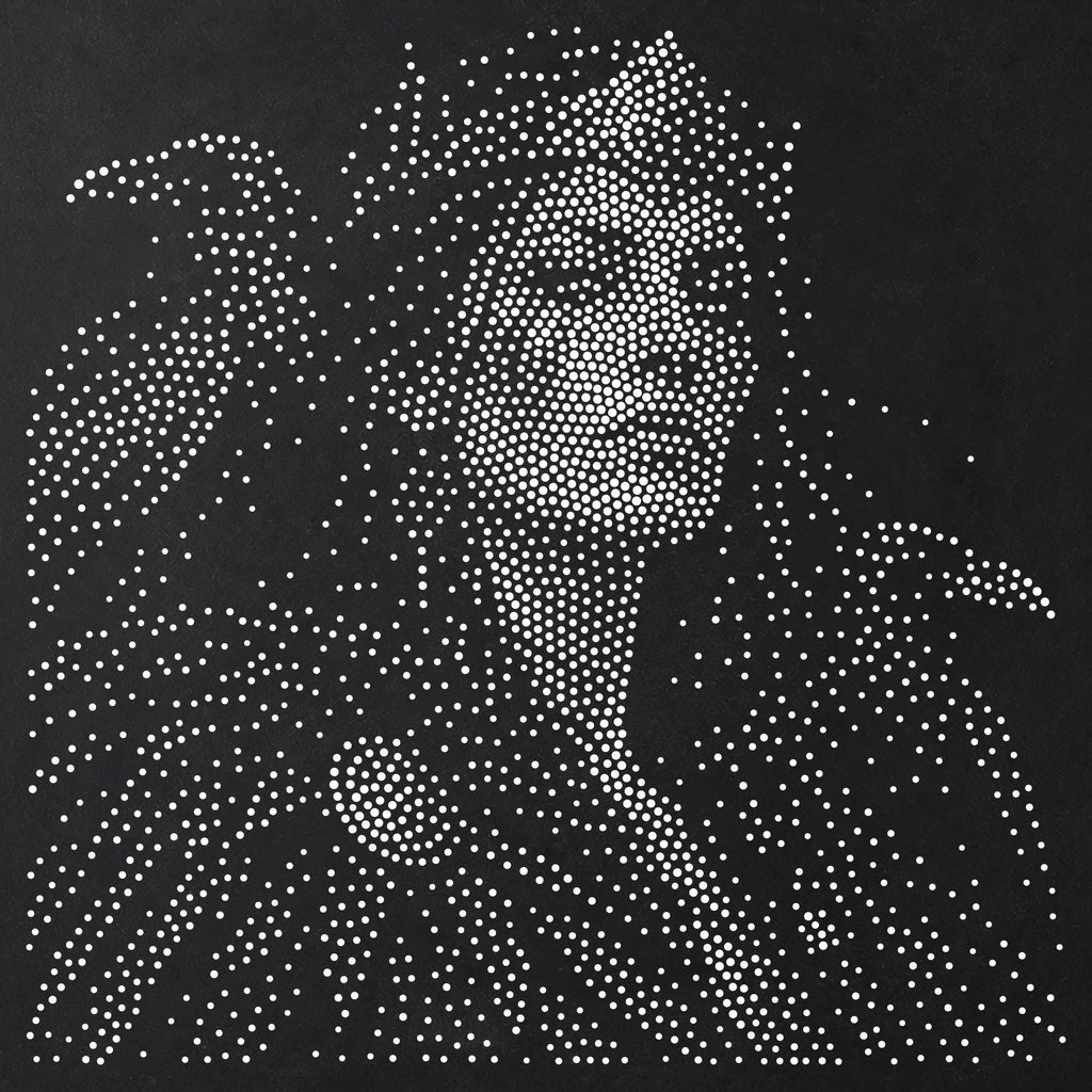 Morrigan Raven Queen Stencil | Realistic Highly Detailed DIY Mylar Wall Art, Stipple Art Crafts (Large - 300mm / 12" approx)