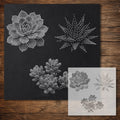 Succulents Stencil reusable Mylar stencil, 300 x 300 mm
