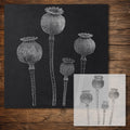 Poppy Seed Pods Stencil reusable Mylar stencil, 300 x 300 mm