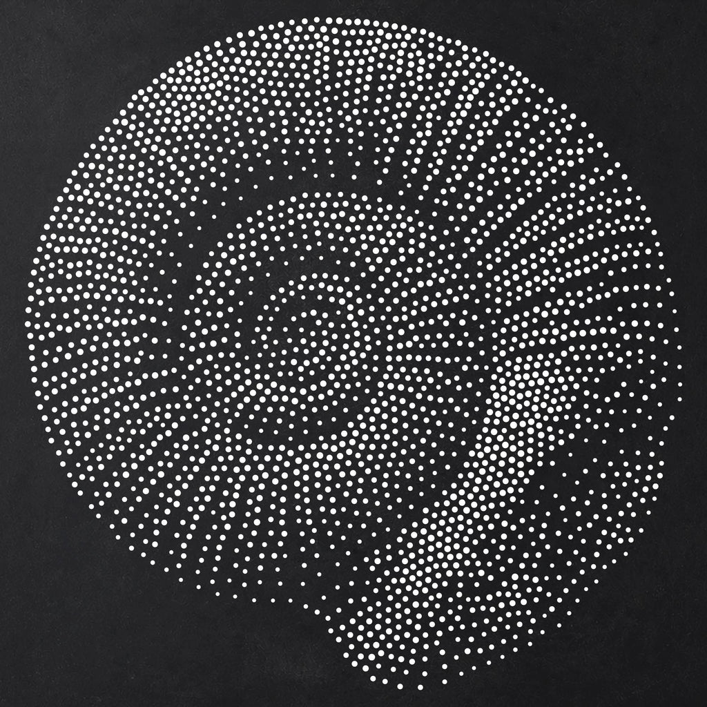 Ammonite Fossil Stencil | Realistic Highly Detailed DIY Mylar Wall Art, Stipple Art Crafts (Large - 300mm / 12" approx)