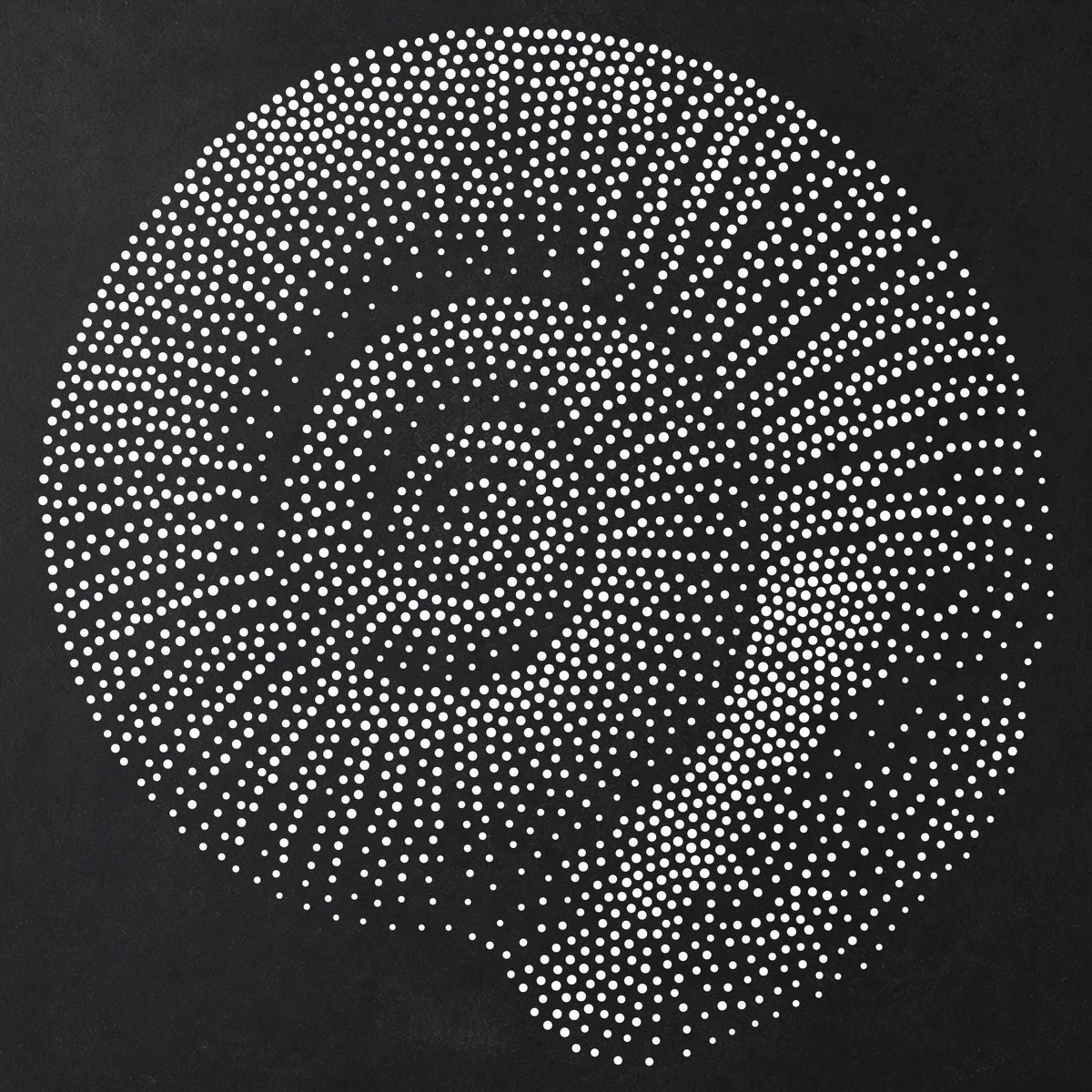 Ammonite Fossil Stencil | Realistic Highly Detailed DIY Mylar Wall Art, Stipple Art Crafts (Large - 300mm / 12" approx)