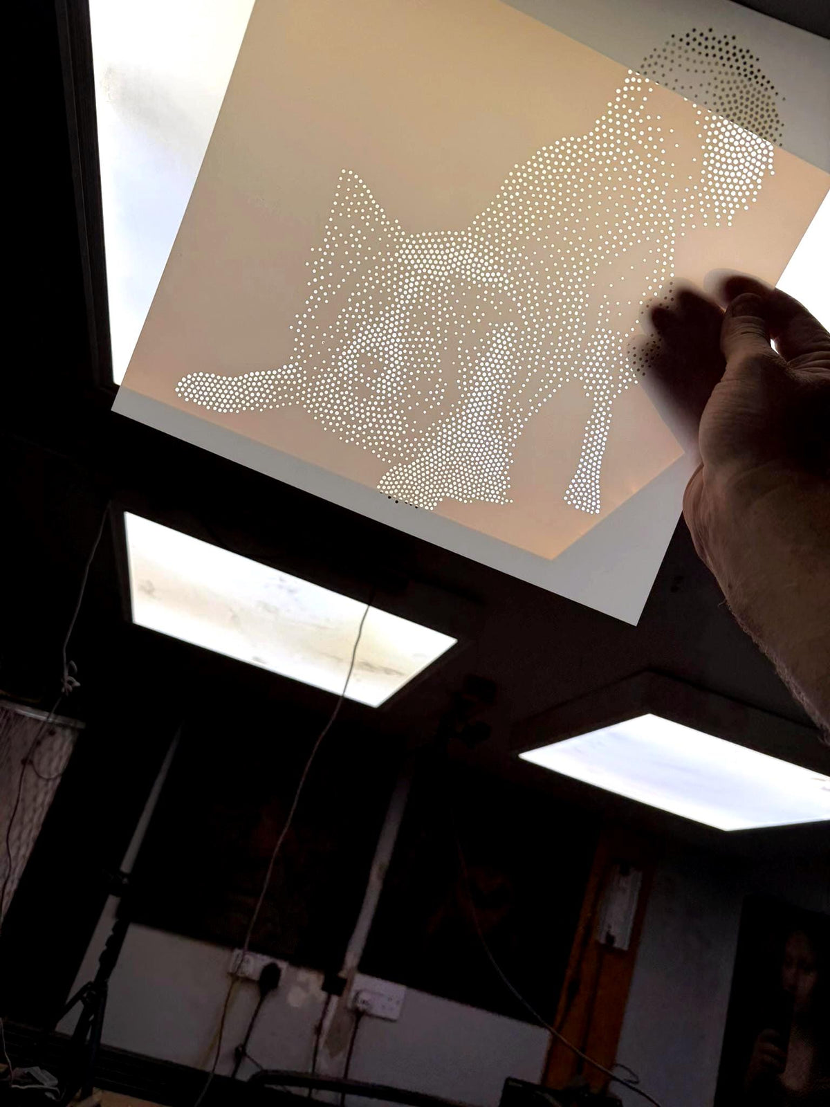 Border Collie Dog Playing Stencil | Realistic Mylar Stipple Wall Art, Crafts (Large - 300mm / 12" approx)