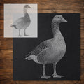 Goose Stipple Art Stencil reusable Mylar stencil, 300 x 300 mm