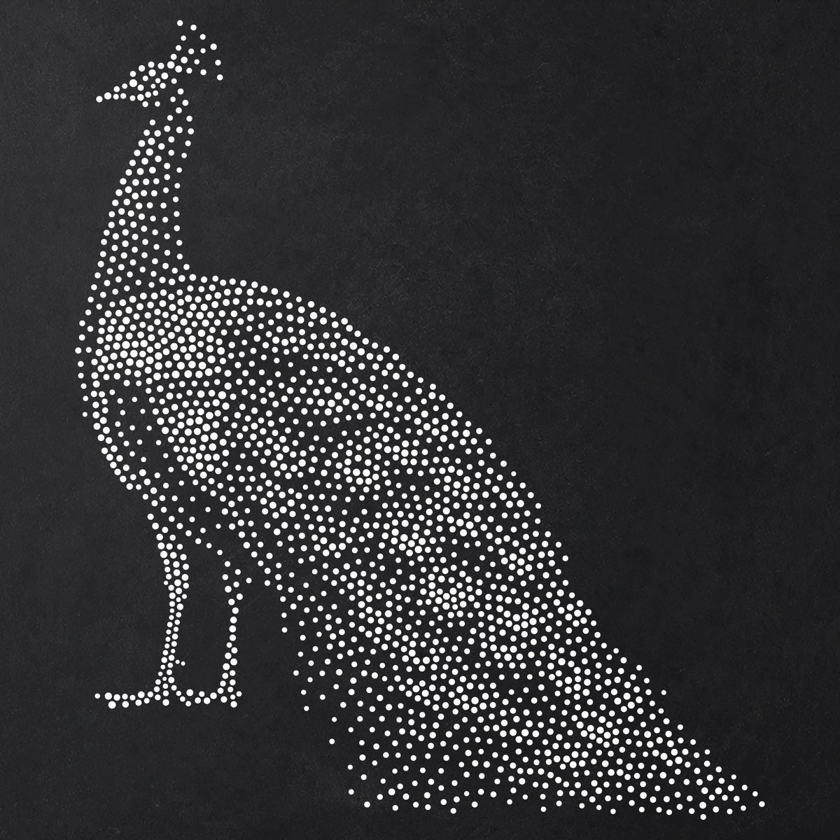 Peacock Stencil | Realistic Mylar Stipple Wall Art, Crafts (Large - 300mm / 12" approx)