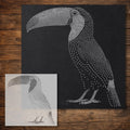 Toucan Stencil reusable Mylar stencil, 300 x 300 mm