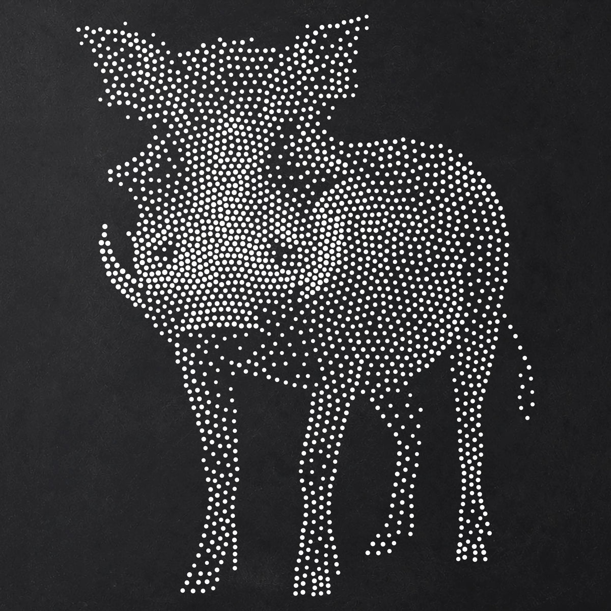 Warthog Stencil | Realistic Mylar Stipple Wall Art, Crafts (Large - 300mm / 12" approx)