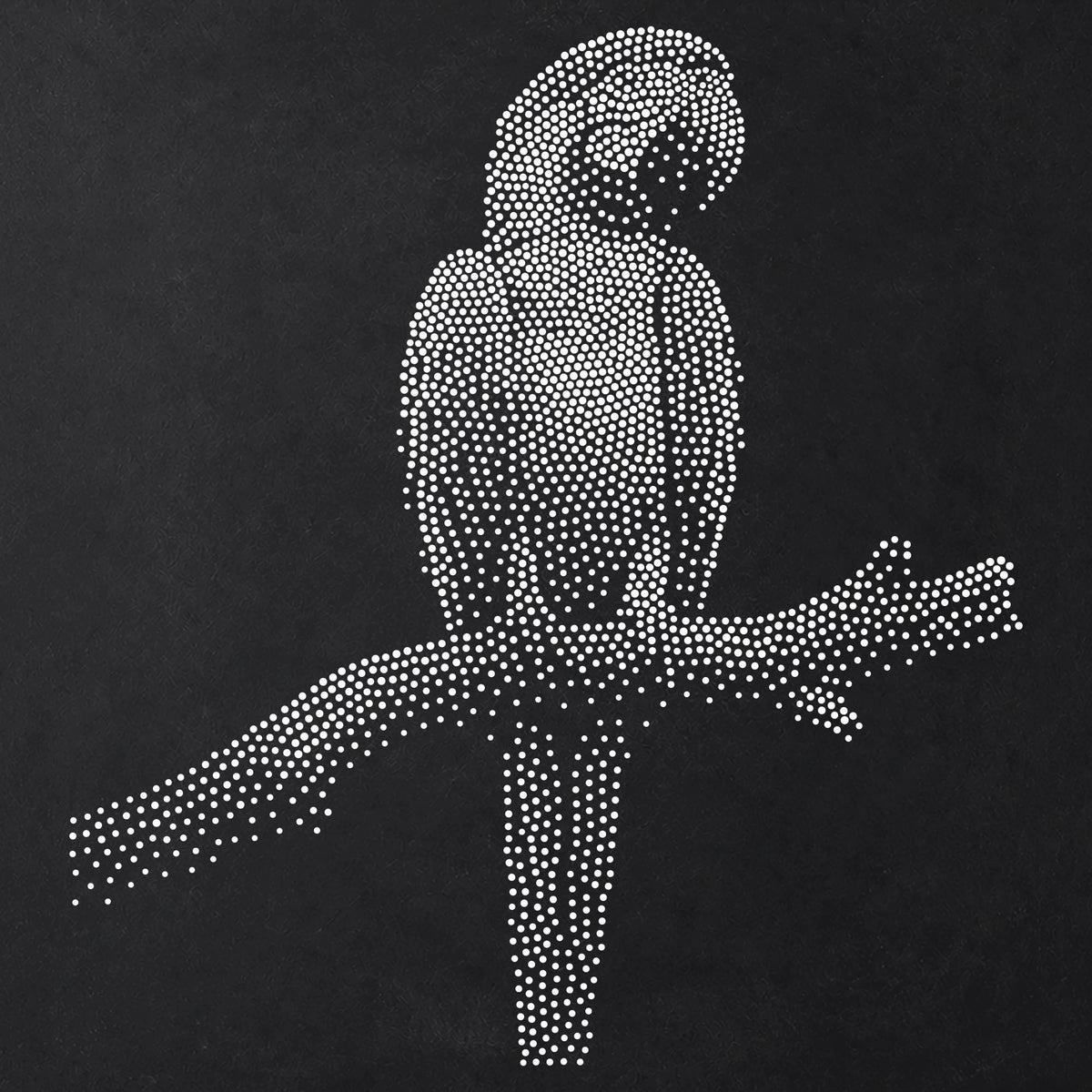 Macaw Parrot Stencil | Realistic Mylar Stipple Wall Art, Crafts (Large - 300mm / 12" approx)