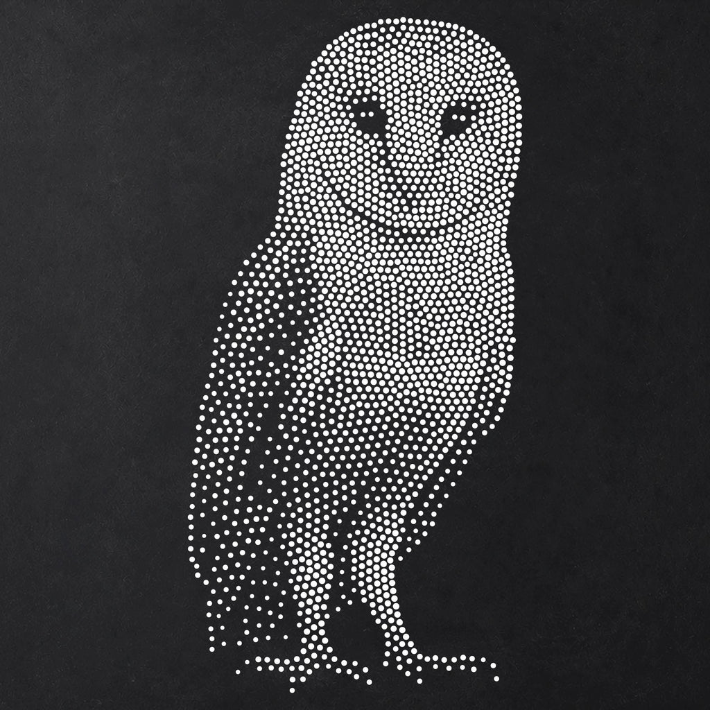 Barn Owl Stencil | Realistic Mylar Stipple Wall Art, Crafts (Large - 300mm / 12" approx)