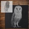 Barn Owl Stencil reusable Mylar stencil, 300 x 300 mm