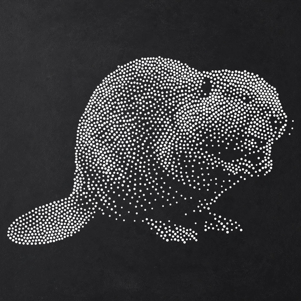 Beaver Stencil | Realistic Mylar Stipple Wall Art, Crafts (Large - 300mm / 12" approx)