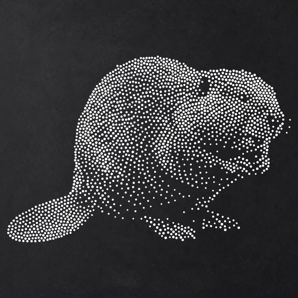 Beaver Stencil | Realistic Mylar Stipple Wall Art, Crafts (Large - 300mm / 12" approx)
