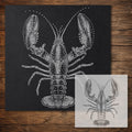 Lobster Stencil reusable Mylar stencil, 300 x 300 mm