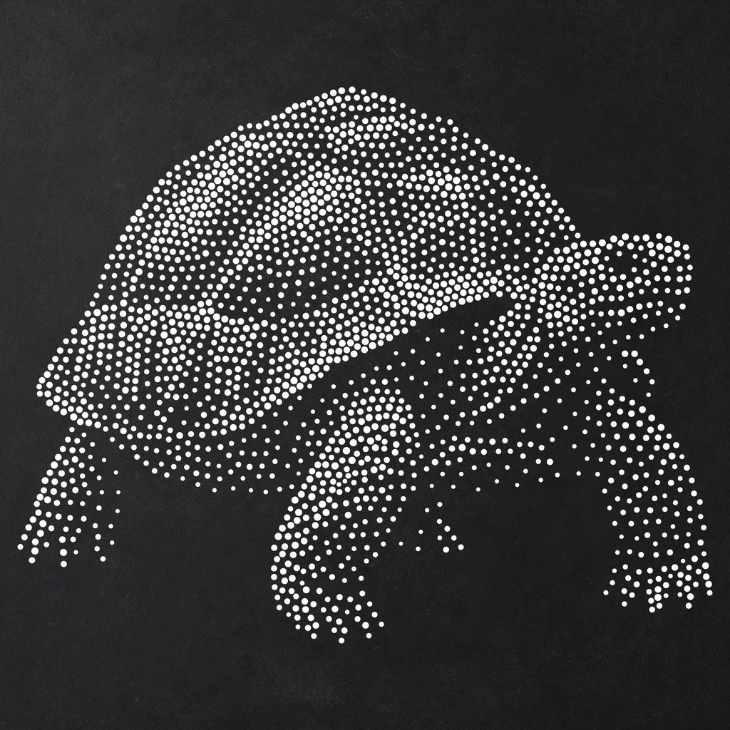 Tortoise Stipple Art Stencil | Realistic Animal Mylar Plastic Craft Stencil (Large - 300mm / 12" approx)