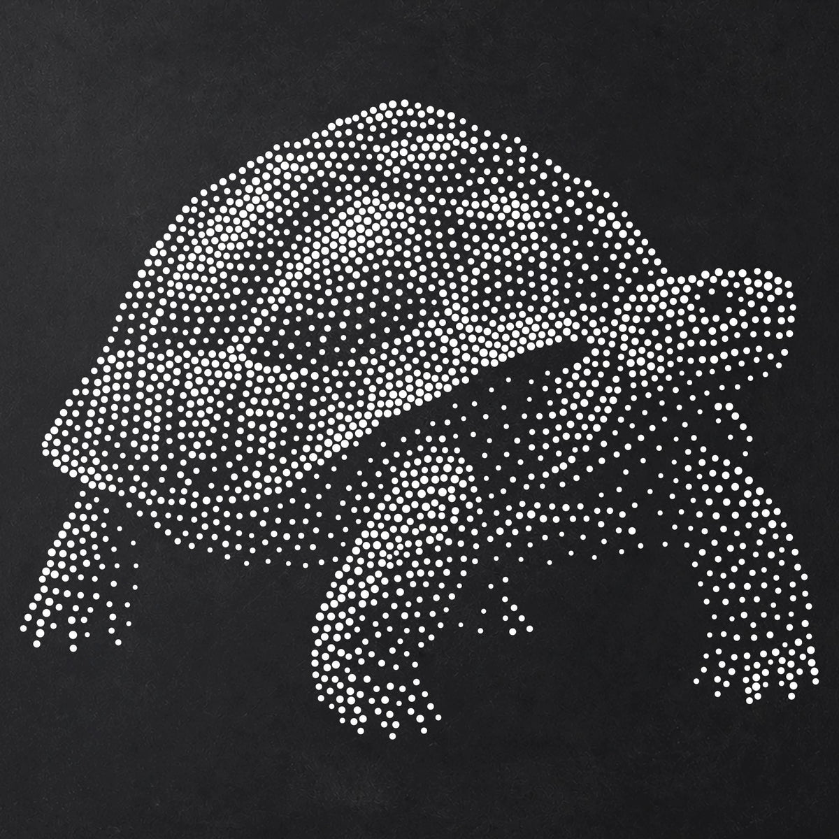 Tortoise Stipple Art Stencil | Realistic Animal Mylar Plastic Craft Stencil (Large - 300mm / 12" approx)