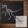 Velociraptor Dinosaur Skeleton Stencil reusable Mylar stencil, 300 x 300 mm
