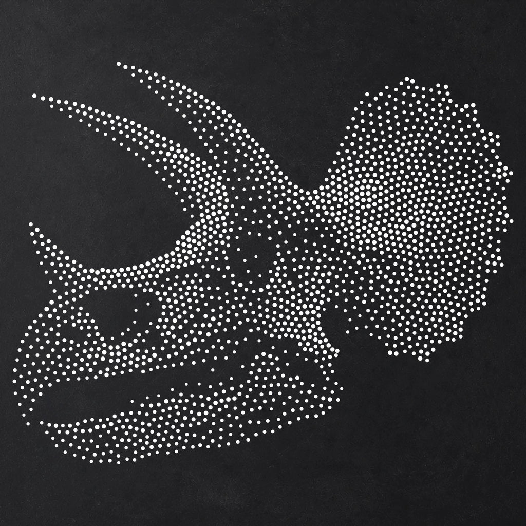Triceratops Skull Dinosaur Stencil | Realistic Highly Detailed DIY Mylar Wall Art, Stipple Art Crafts (Large - 300mm / 12" approx)