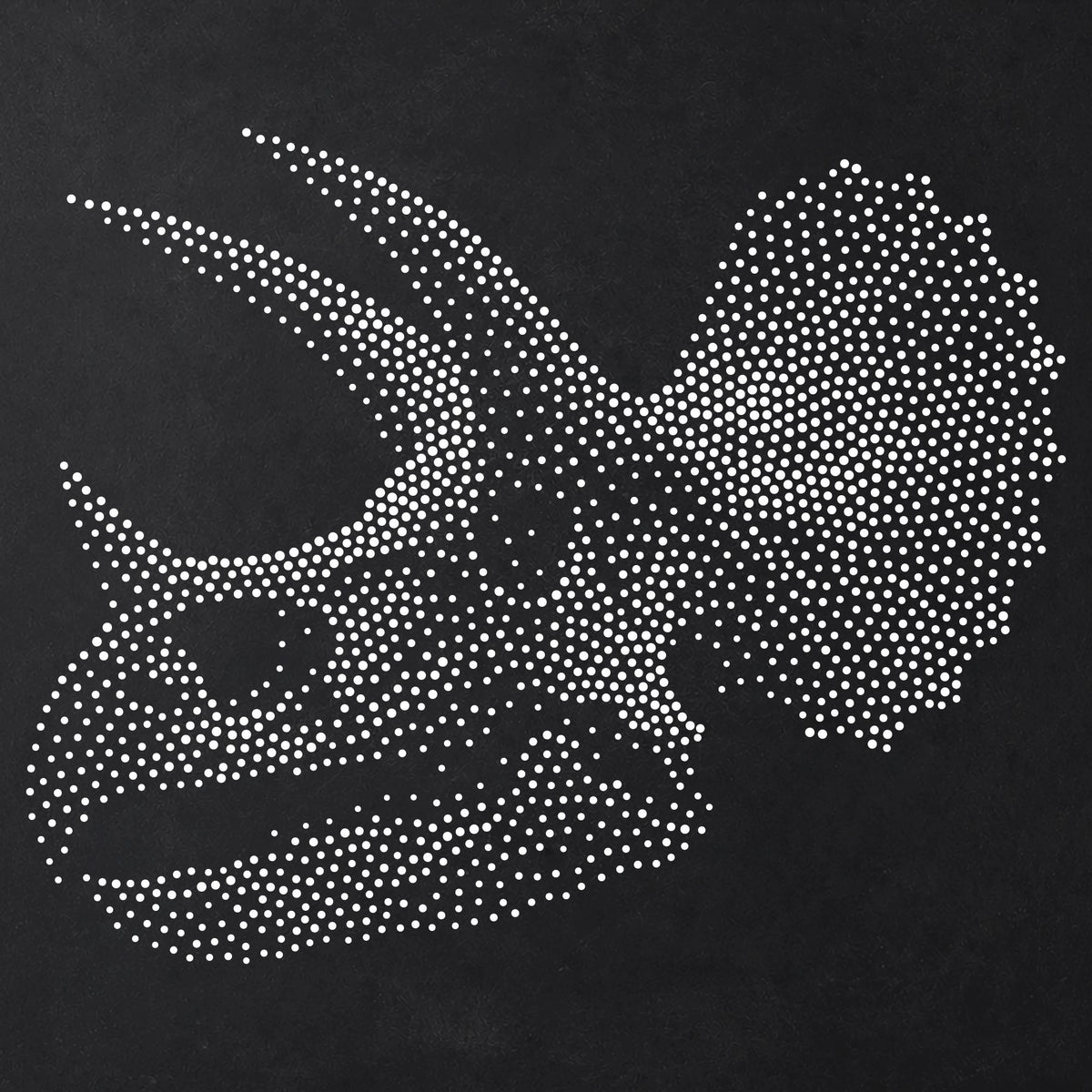 Triceratops Skull Dinosaur Stencil | Realistic Highly Detailed DIY Mylar Wall Art, Stipple Art Crafts (Large - 300mm / 12" approx)