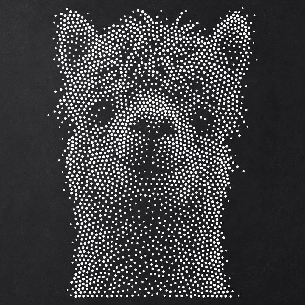 Alpaca Portrait Stipple Art Stencil | Realistic Animal Mylar Plastic Craft Stencil (Large - 300mm / 12" approx)
