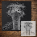 Ostrich Portrait Stipple Art Stencil reusable Mylar stencil, 300 x 300 mm