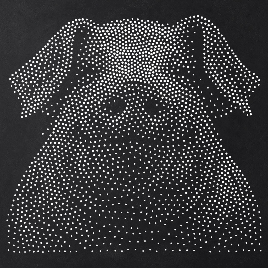 Pig Portrait Stipple Art Stencil | Realistic Animal Mylar Plastic Craft Stencil (Large - 300mm / 12" approx)