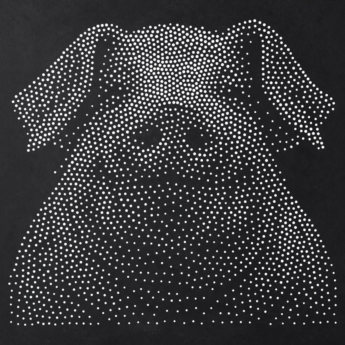 Pig Portrait Stipple Art Stencil | Realistic Animal Mylar Plastic Craft Stencil (Large - 300mm / 12" approx)