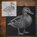 Mallard Duck Stipple Art Stencil reusable Mylar stencil, 300 x 300 mm