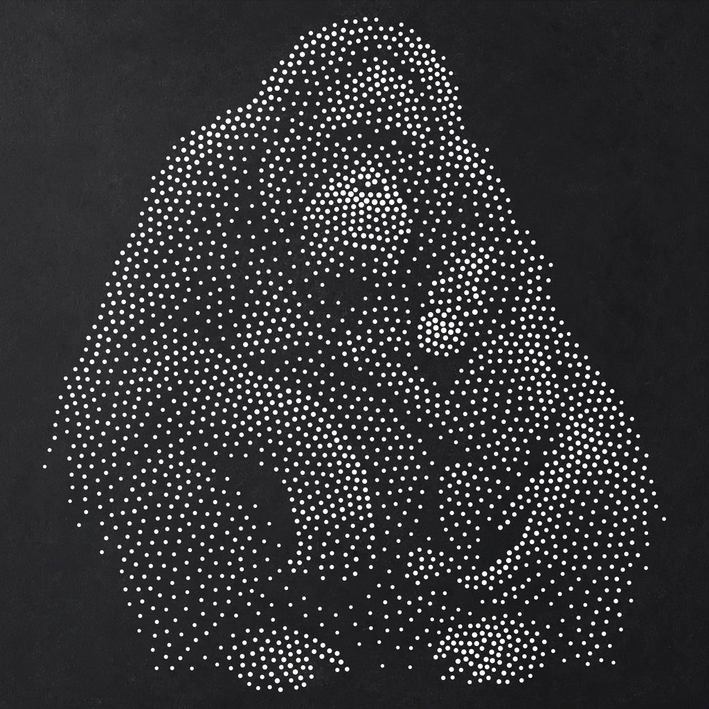 Orangutan with Baby Stipple Art Stencil | Realistic Animal Mylar Plastic Craft Stencil (Large - 300mm / 12" approx)