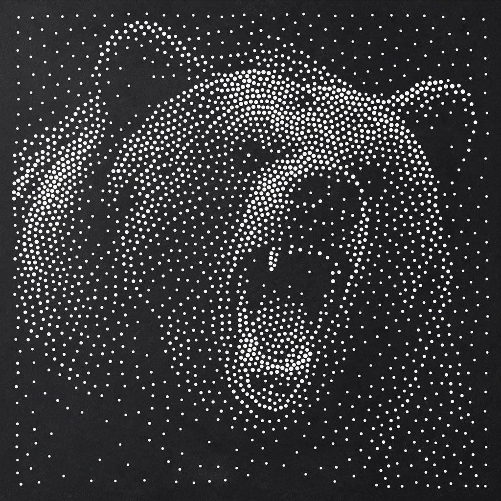 Bear Roaring Stipple Art Stencil | Realistic Animal Mylar Plastic Craft Stencil (Large - 300mm / 12" approx)