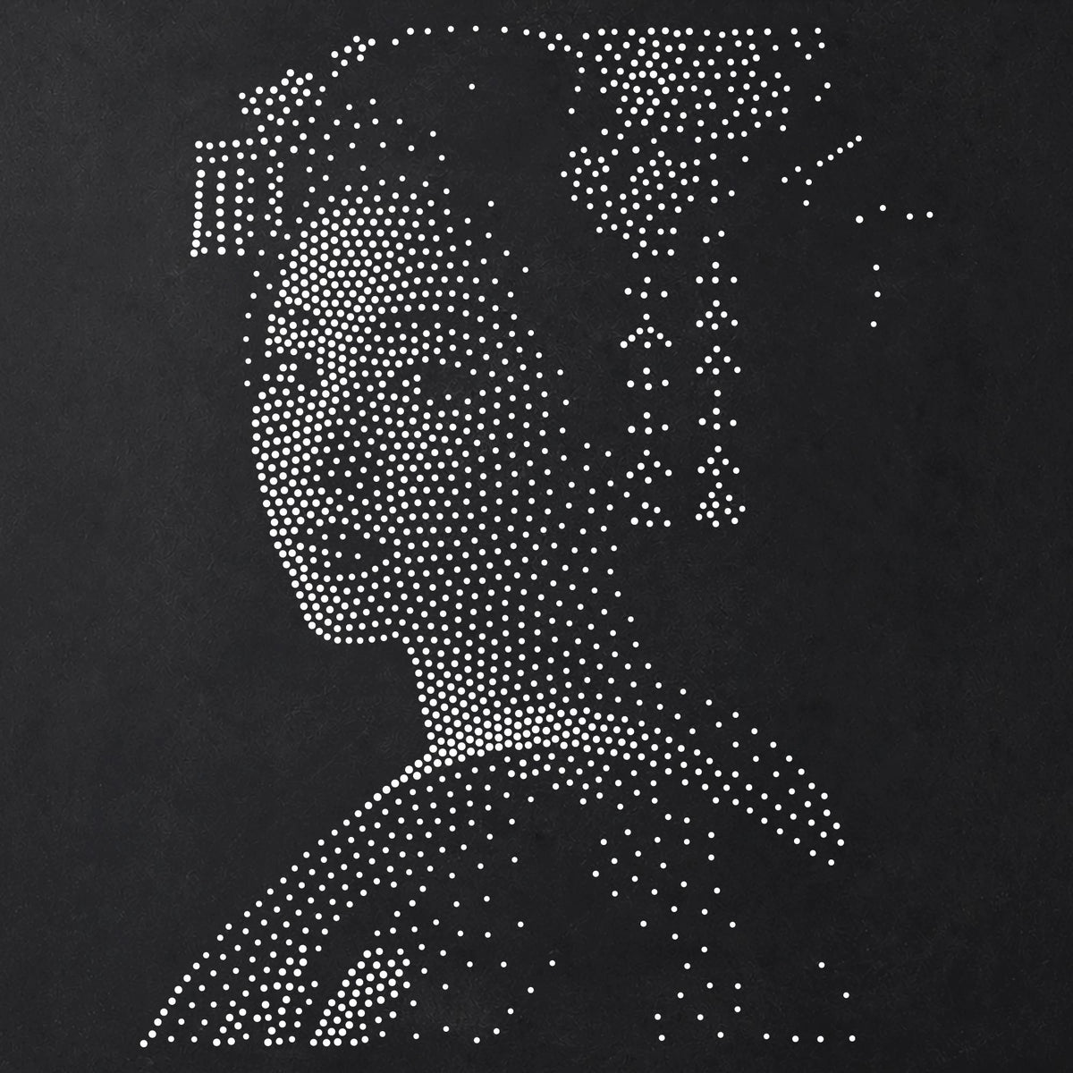 Geisha Portrait Stipple Art Stencil | Realistic Mylar Plastic Craft Stencil (Large - 300mm / 12" approx)