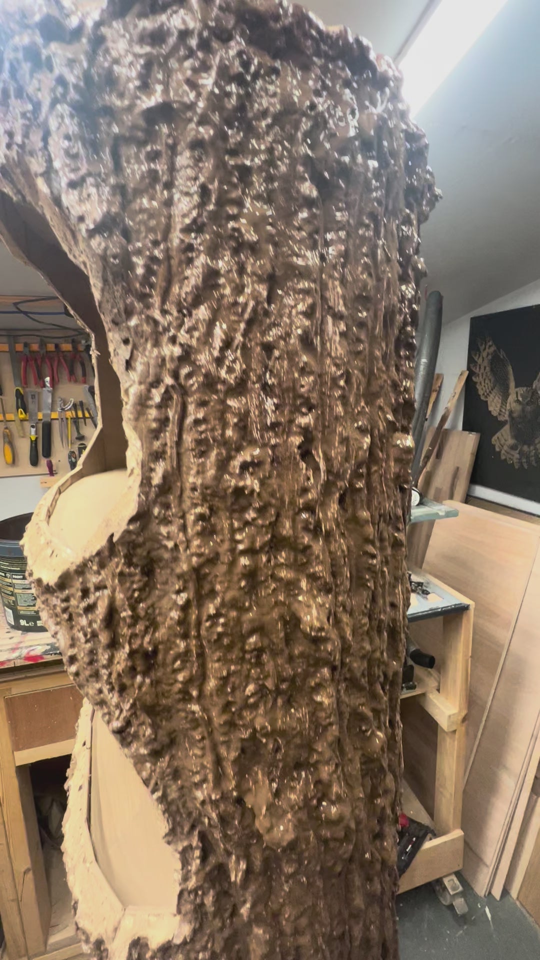 Tree Shelves - 2025